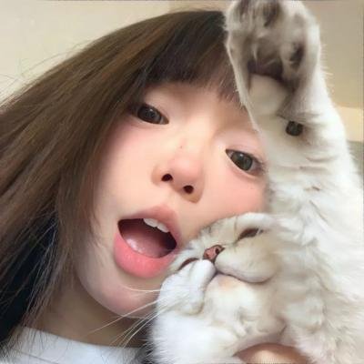 废柴联盟第四季